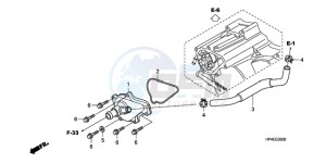 TRX420TMA Australia - (U / 2WD) drawing WATER PUMP COVER