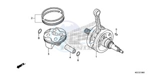 CRF150RD CRF150R Europe Direct - (ED) drawing CRANKSHAFT/PISTON