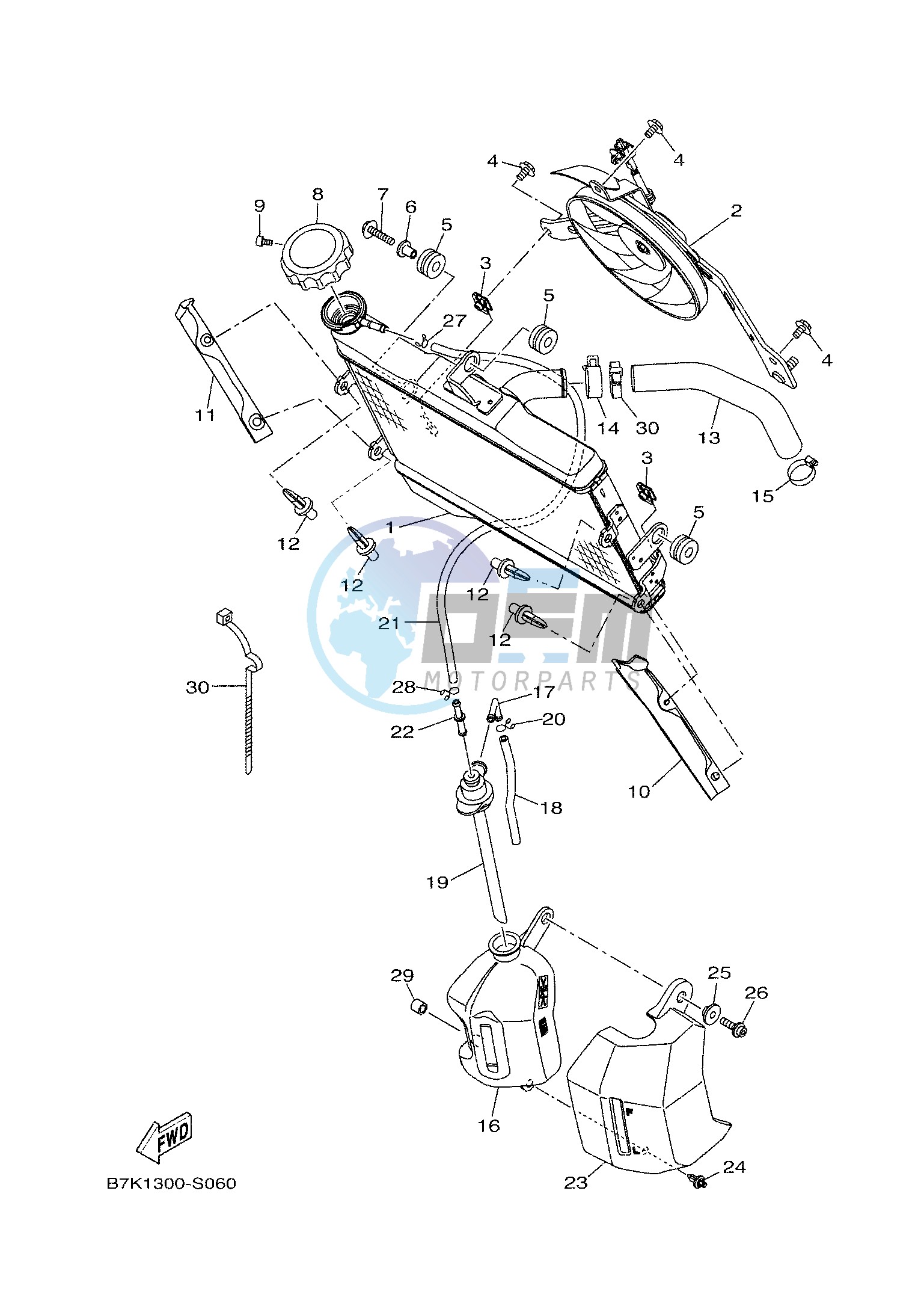 RADIATOR & HOSE