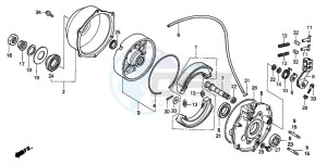 TRX300 FOURTRAX 300 drawing REAR BRAKE PANEL