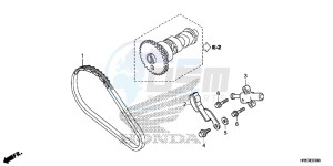 TRX500FM5H Europe Direct - (ED) drawing CAM CHAIN/TENSIONER