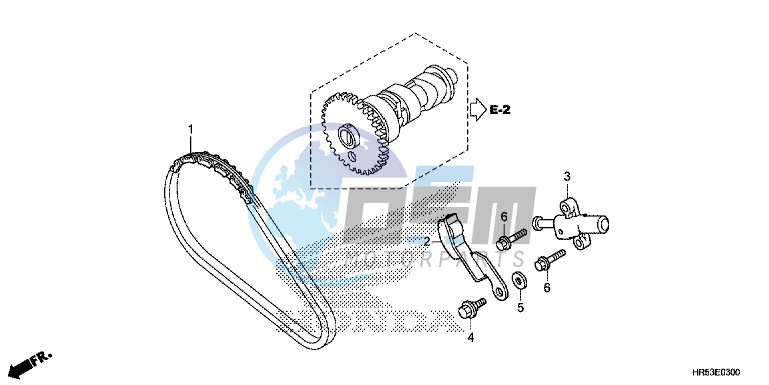 CAM CHAIN/TENSIONER