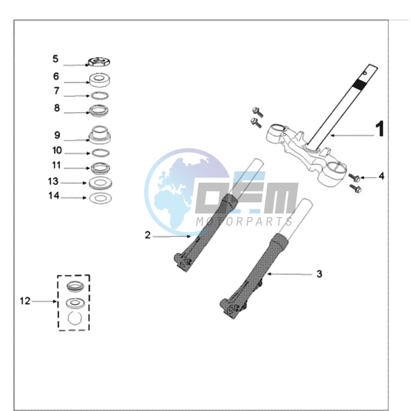 FRONT FORK / STEERINGHEAD