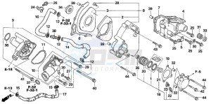 CB1300F1 CB1300SUPER FOUR drawing LEFT REAR COVER/WATER PUM P