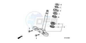 CBF1000AA France - (F / ABS CMF) drawing STEERING STEM