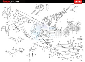 TANGO-250CC-4T-WHITE drawing CHASSIS