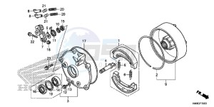 TRX250TEE FOURTRAX RECON ES Europe Direct - (ED) drawing REAR BRAKE DRUM