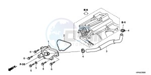 TRX420FPEC drawing WATER PUMP COVER