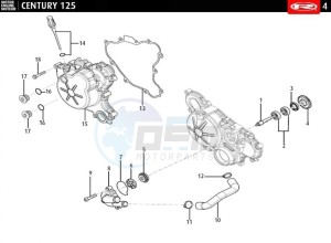 CENTURY-125-E4-GREY drawing FLYWHEEL COVER - WATER PUMP  EURO4