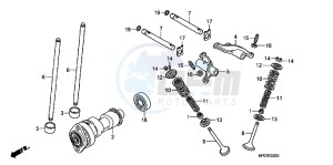 TRX500FPEB drawing CAMSHAFT