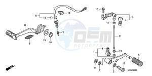 CB600F3A Australia - (U / ST) drawing PEDAL