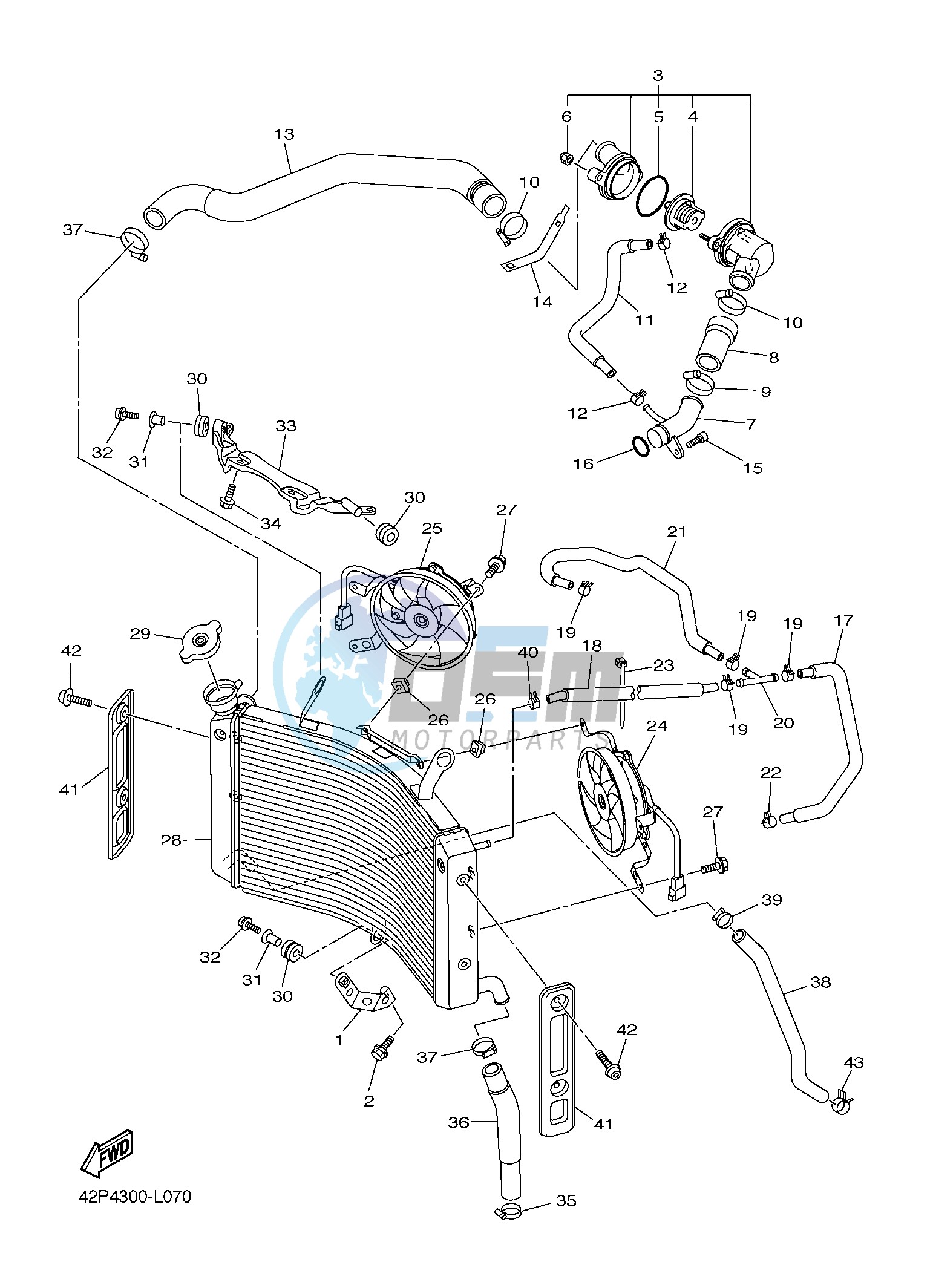 RADIATOR & HOSE