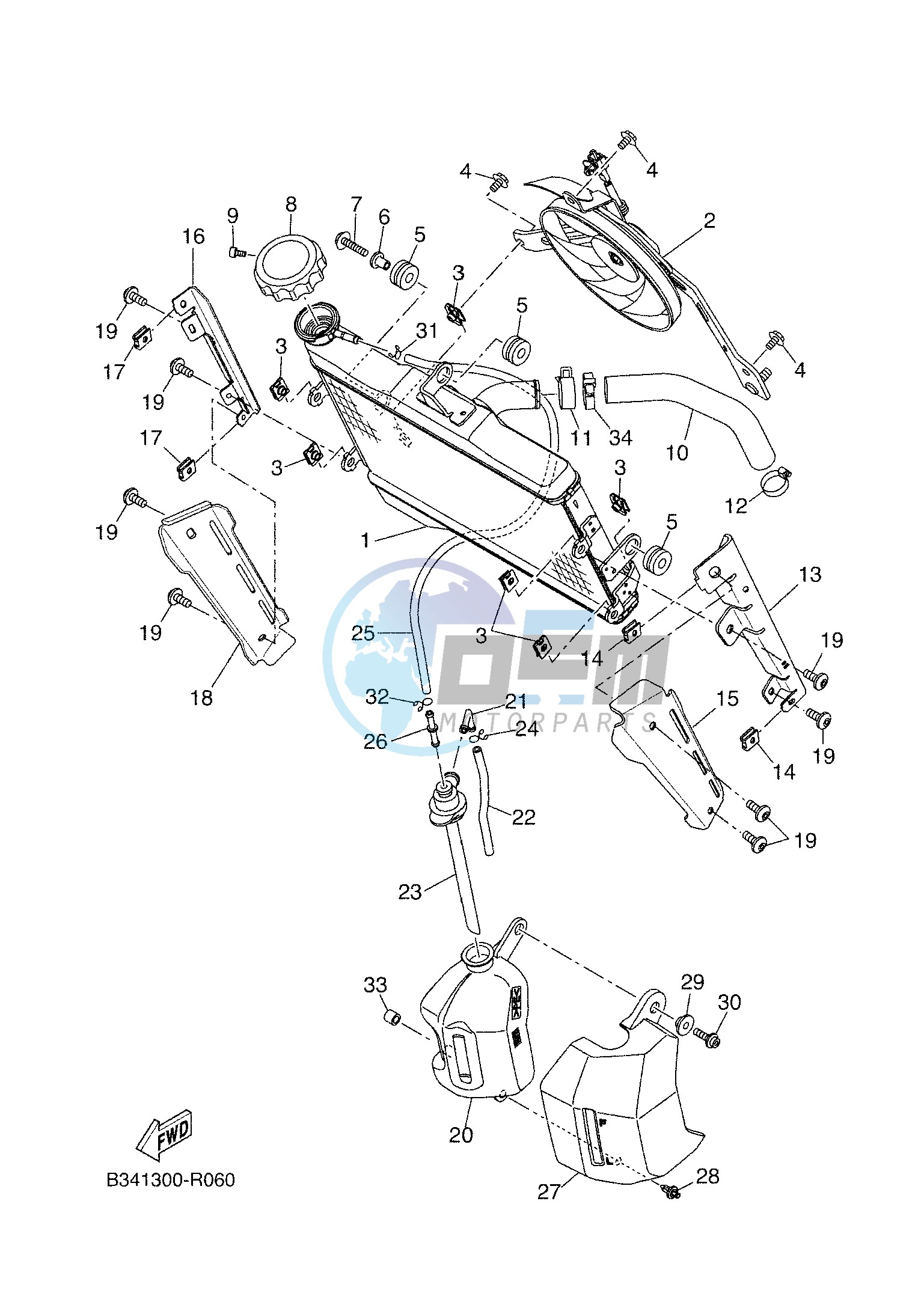 RADIATOR & HOSE