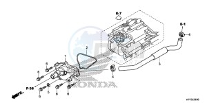 TRX420FAD TRX420 Europe Direct - (ED) drawing WATER PUMP COVER