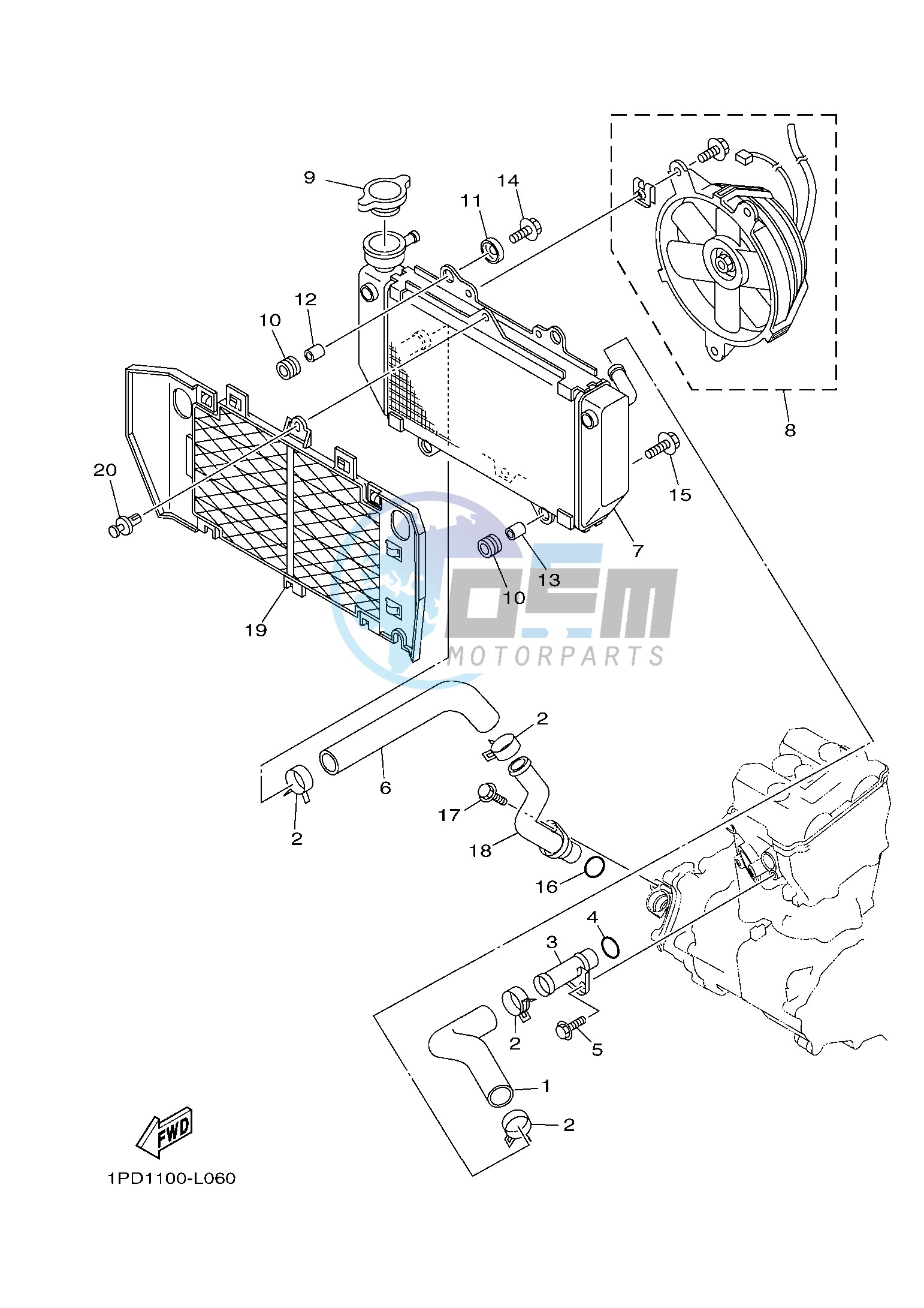 RADIATOR & HOSE