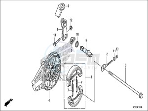 CRF110FH Europe Direct - (ED) drawing REAR BRAKE PANEL