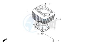 TRX350FM RANCHER 4X4 drawing CYLINDER