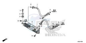 TRX250TEH Europe Direct - (ED) drawing OIL COOLER