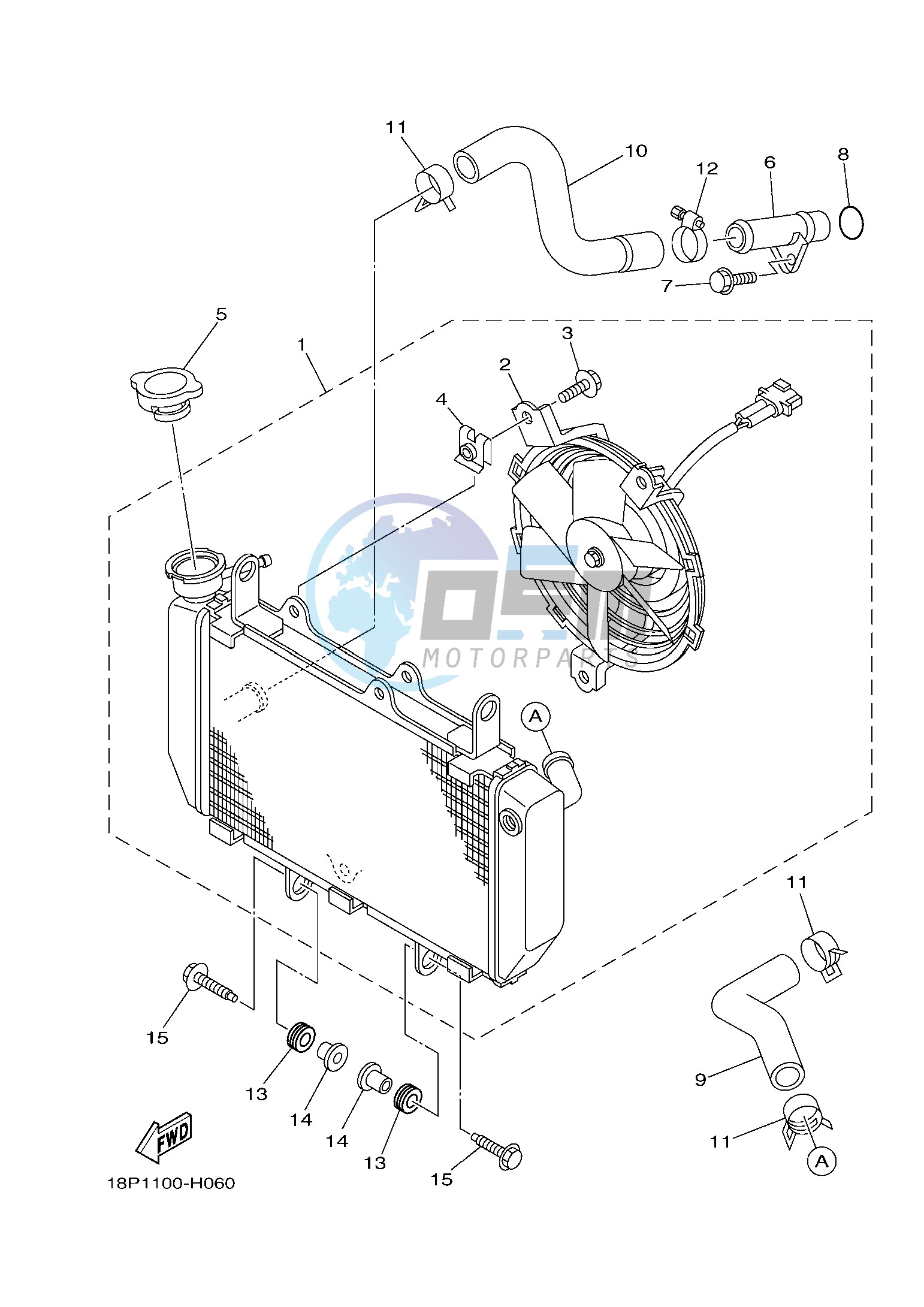 RADIATOR & HOSE