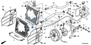 TRX500FPED TRX500FPE ED drawing RADIATOR