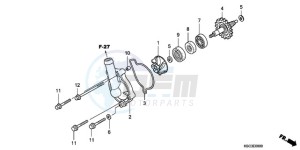 CRF250X9 Europe Direct - (ED / CMF) drawing WATER PUMP