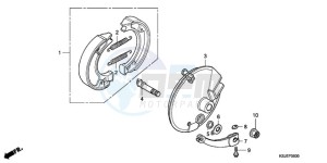 CRF100F9 Europe Direct - (ED / CMF) drawing FRONT BRAKE PANEL