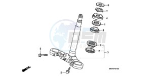 CBF600N9 France - (F / CMF) drawing STEERING STEM