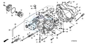 TRX420FPA9 Australia - (U) drawing FRONT CRANKCASE COVER