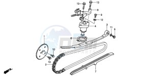 NES150 125 drawing CAM CHAIN/TENSIONER