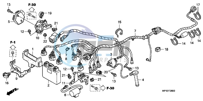 THROTTLE BODY/FUEL INJECTOR