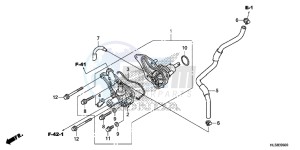 SXS700M4H Europe Direct - (ED) drawing WATER PUMP