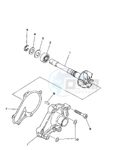 TZ 250 drawing WATER PUMP