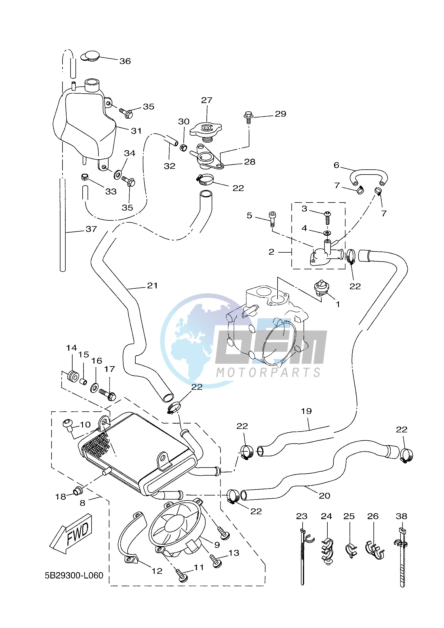 RADIATOR & HOSE