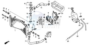 CBR600F3 drawing RADIATOR (CBR600FS/3S/T/3T/SET)