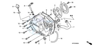 CBR125RWA Europe Direct - (ED / BLA) drawing RIGHT CRANKCASE COVER