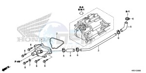 TRX420TM1H Europe Direct - (ED) drawing WATER PUMP COVER