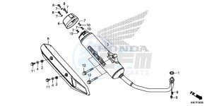 NSS125DF Forza 125 - NSS125D Europe Direct - (ED) drawing EXHAUST MUFFLER