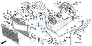 CB600F39 Spain - (SP / ST 25K) drawing RADIATOR