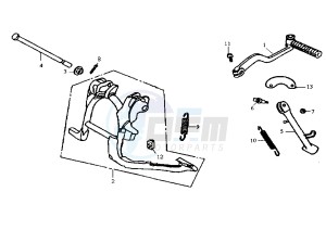 JUNGLE - 50 cc drawing STAND