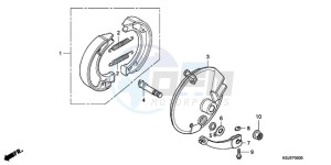 CRF80F9 Australia - (U) drawing FRONT BRAKE PANEL