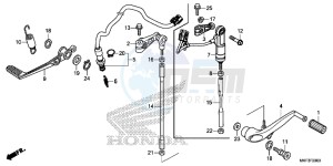 CBR1000S1 2ED - (2ED) drawing PEDAL