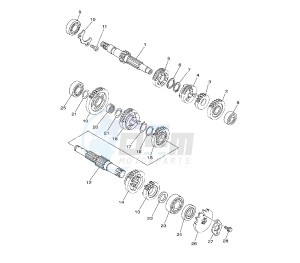 TT R E/LE 125 drawing TRANSMISSION