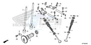 TRX420FA6H Europe Direct - (ED) drawing CAMSHAFT/VALVE