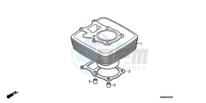 TRX250XA Europe Direct - (ED) drawing CYLINDER