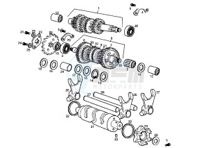 SENDA SM X-TREM - 50 cc drawing GEAR BOX