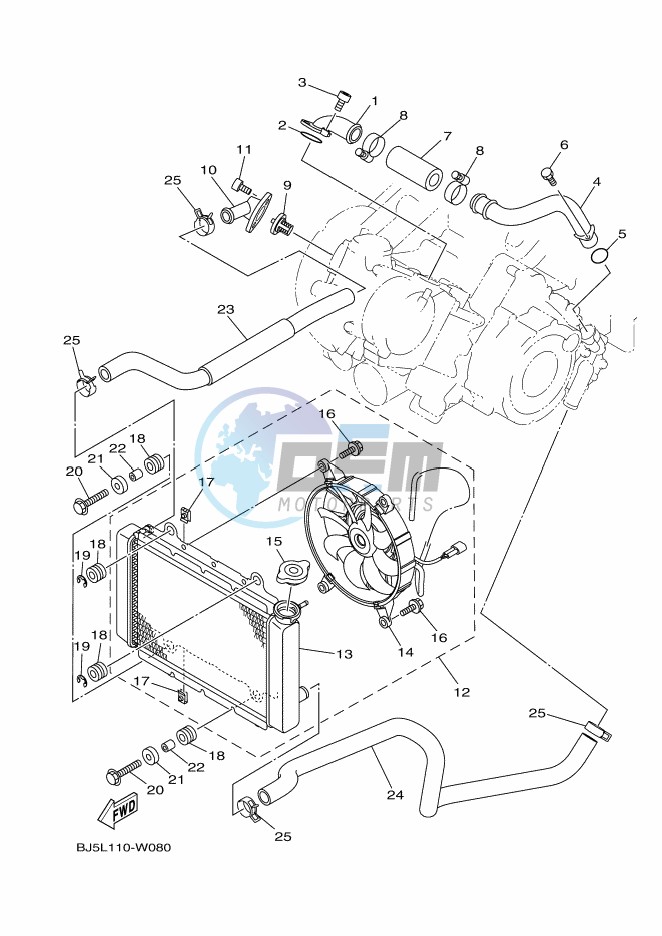 RADIATOR & HOSE