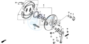 CM125C drawing FRONT BRAKE PANEL