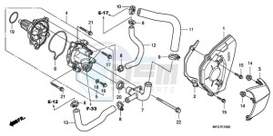 CB600FA39 Europe Direct - (ED / ABS ST 25K) drawing WATER PUMP