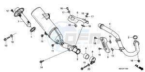 CRF250XB CRF250X ED drawing EXHAUST MUFFLER