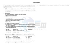 XSR900 MTM850 (BAE1) drawing Infopage-3